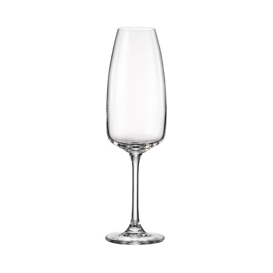 Bohemia Fascino champagneglas 290 ml – 6 - pack - Björk & Bitter