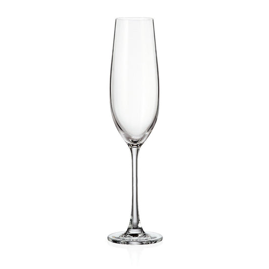 Bohemia Royal Crystal Verona champagneglas 260 ml – 6 - pack - Björk & Bitter