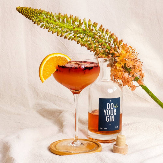 Gör din egen Gin infusionsats - DIY cocktailsats - Björk & Bitter