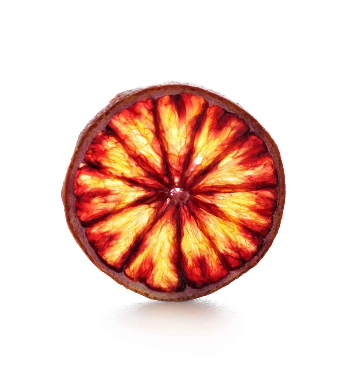 Torkade citrusfrukter för cocktails - 4 Pack - Björk & Bitter