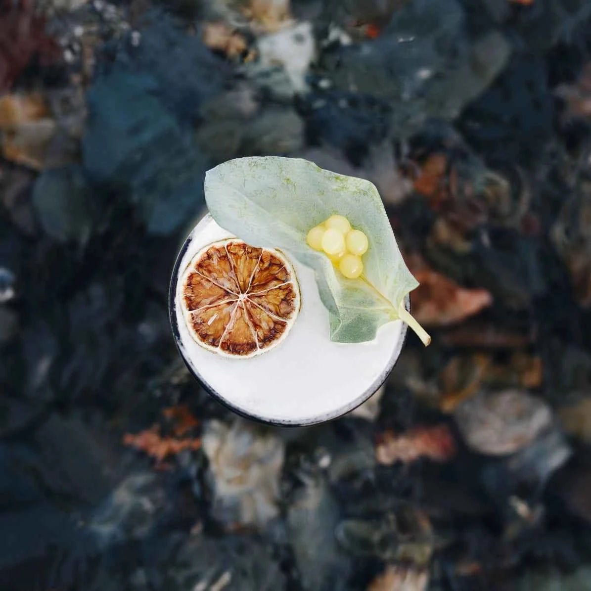 Torkade Limeskivor - 20g - Björk & Bitter